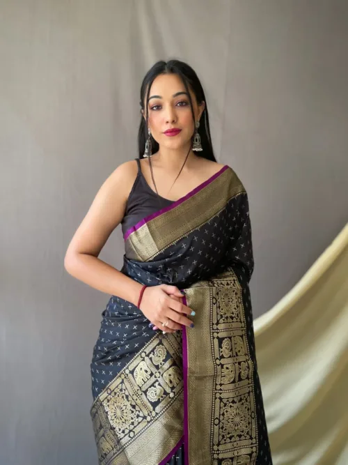 Black Banarasi Silk Saree