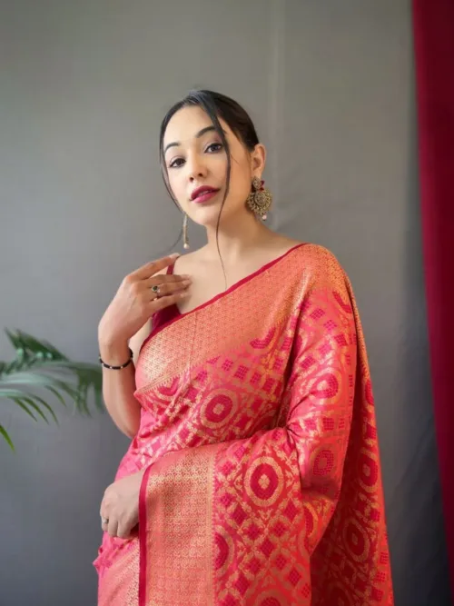 Pink Silk Saree