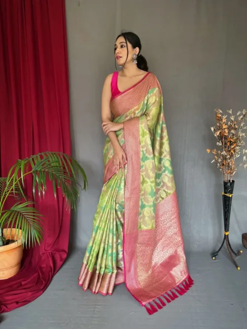 Green kanchipuram digital printed saree