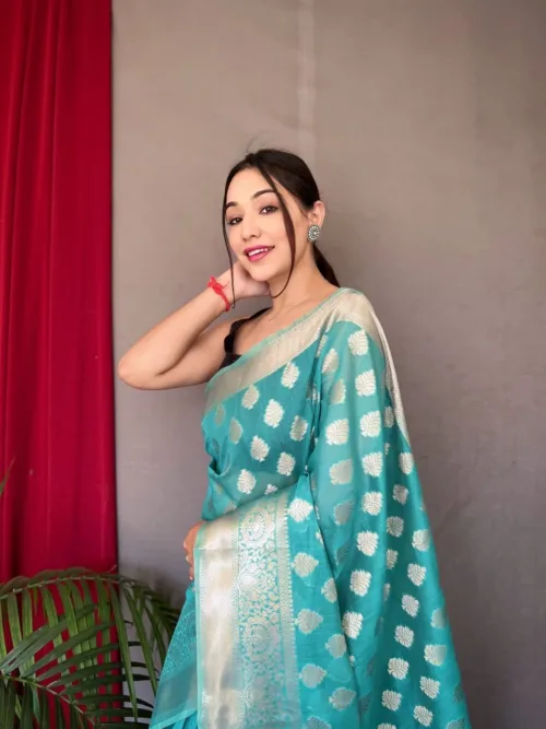 Sky Blue Maslin Silk Saree