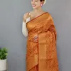 Orange kanjivaram Saree
