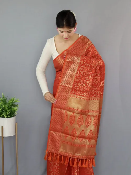 Red kanjivaram Saree